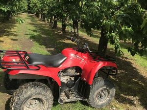 YAMAHA BRUIN 250 IZDEBNO