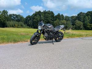 SUZUKI SV 650X CAFERACER