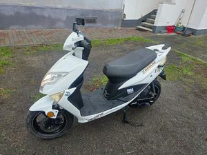 ROLLER BEELINE TAPO (2TAKTER) MIT 25 PAPIERE (MOFA)