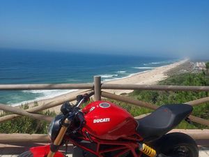 DUCATI MONSTER - 19