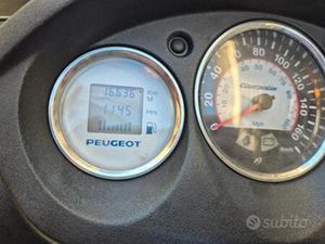 PEUGEOT GEOPOLIS 300 - 2015