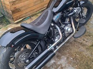 HARLEY SOFTAIL CROSS BONE