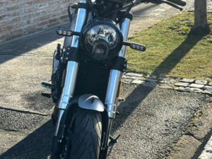 BENELLI LEONCINO 500