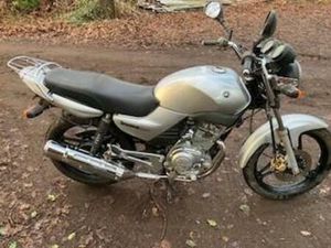 ② YAMAHA YBR 125 11KW