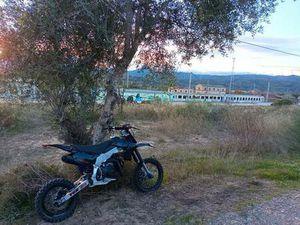 APOLLO ORION - AGB 29