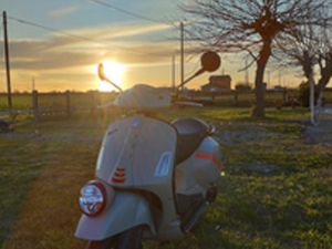 VESPA GTV 300 2024