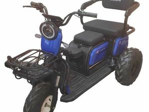 ЕЛЕКТРИЧЕСКА ТРИКОЛКА GTX-М19 ТРИМЕСТНА ВИСОКОПРОХОДИМА ГР. ХАСКОВО ТРАКИЙСКИ