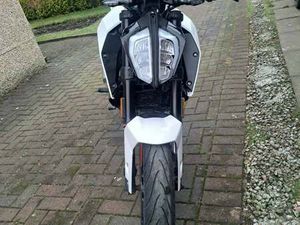 KTM, DUKE, 2018, 125 (CC)