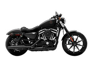 2022 HARLEY-DAVIDSON XL883N - IRON 883