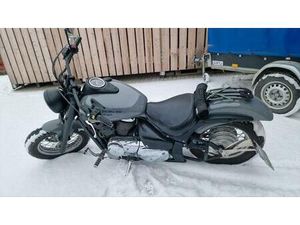 SUZUKI VL800 WINTERPREIS