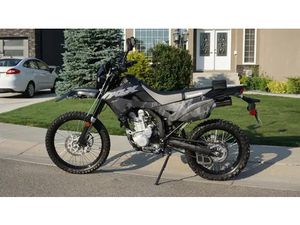 2024 KAWASAKI KLX 300 DUAL SPORT