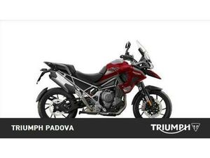 VENDO TRIUMPH TIGER 1200 GT PRO (2024 - 26) NUOVA A CAMPODARSEGO (CODICE 9877357) - MOTO.IT