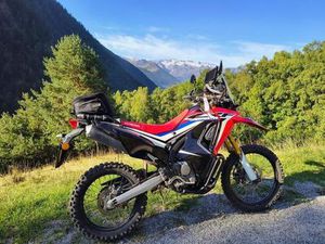 HONDA - CRF250 RALLY