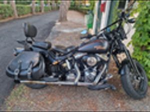 HARLEY-DAVIDSON CROSS BONES