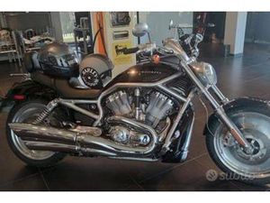 HARLEY-DAVIDSON V-ROD - 2004 ASI DA COLLEZIONISTA