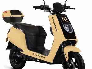 VOLTAGO E-ROLLER F. 2 PERS. & 2 LI-ION WECHSEL-AKKUS