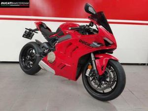 DUCATI PANIGALE V4 (BJ 2022) — MOTOREN | DUCATI — MARKTPLAATS