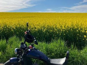 E-CHOPPER 3000W 60V - TOP ZUSTAND NUR 1300KM