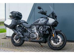 HARLEY-DAVIDSON PAN AMERICA 1250 SPECIAL 1252 CC