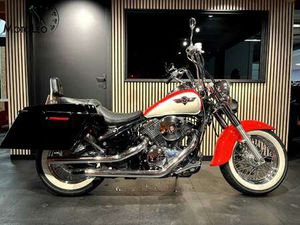 KAWASAKI VN 800 CLASSIC ROOD