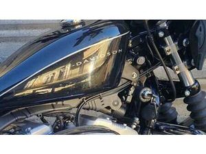 VENDO HARLEY-DAVIDSON XL 1200N NIGHTSTER (2008 - 12) USATA A BELLINO (CODICE 9910384) - MOTO.IT