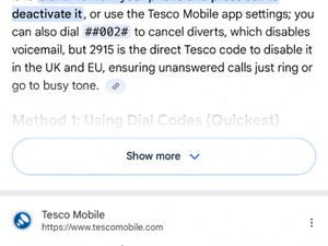 YAMAHA, FZ 6, 2006, 599 (CC)