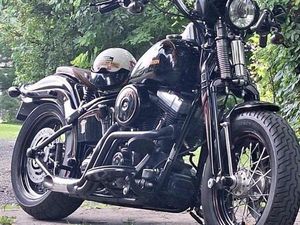 HARLEY-DAVIDSON SOFTAIL CROSS BONES