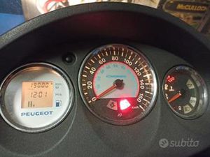 PEUGEOT GEOPOLIS 300 - 2013