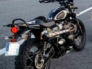 TRIUMPH - SCRAMBLER 900