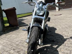 HARLEY DAVIDSON VROD MUSCLE