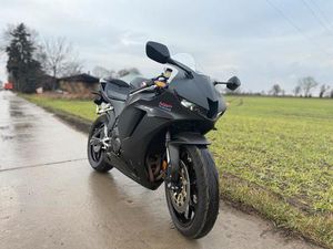 HONDA CBR 600RR REIFEN NEU S23