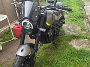 BENELLI LEONCINO 250