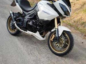 TRIUMPH TIGER 1050 ABS CARBON WILBERS