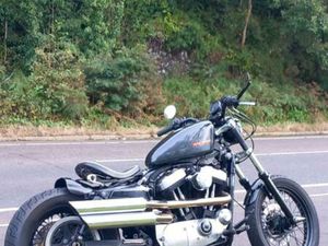HARLEY-DAVIDSON, SPORTSTER, 2008, 883 (CC)
