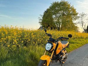 HONDA MSX 125 GROM - KEINE MONKEY CAMPER WOHNMOBIL