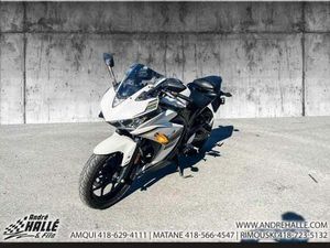 2017 YAMAHA YZF-R3