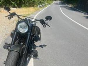 HARLEY DAVIDSON SOFTAIL SLIM S