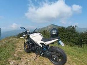 TRIUMPH SPEED TRIPLE 1050 - 2006