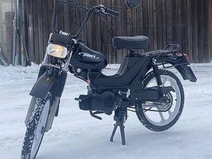 PONY CROSS BETA 521 CANTON BERNE -