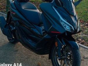 FORZA EDITION SPECIALE