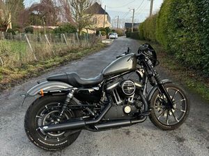 HARLEY DAVIDSON 883 2019
