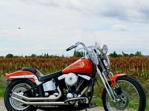 HARLEY DAVIDSON SOFTAIL SPRINGER