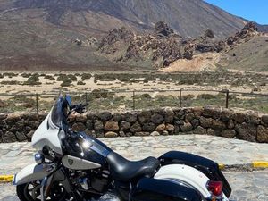 HARLEY-DAVIDSON ELECTRA GLIDE POLICE