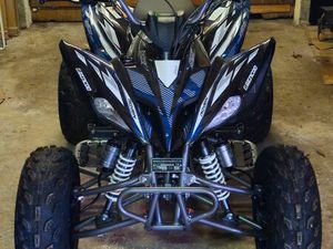 QUAD RAVEN 250