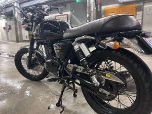 BLACK SEVEN PICKERL BIS 9/26