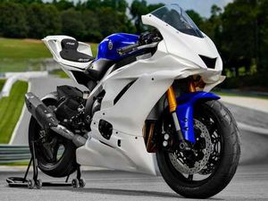 GYTR - SPECIAL PRICE