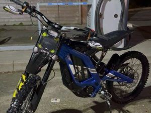 SURON LIGHT BEE 2023