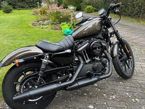 HARLEY DAVIDSON IRON 883