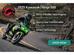 2025 KAWASAKI EX500 - FA71729