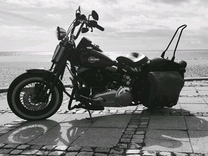 HARLEY DAVIDSON CROSSBONES